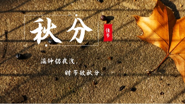 樓上樓門(mén)窗 | 白露秋分夜,一夜冷一夜，高端門(mén)窗安排上！